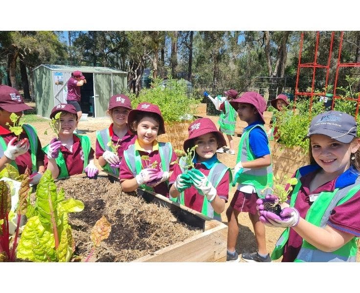 hfps-environmental-education-and-sustainability - hfps-environmental-education-and-sustainability