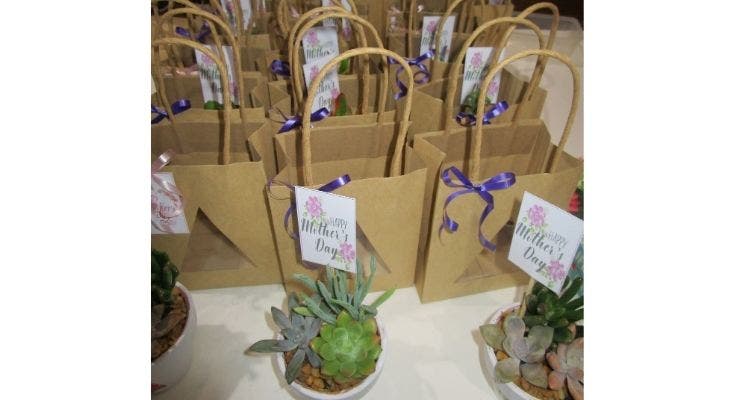 hfps-parents-and-citizens - hfps-parents-and-citizens