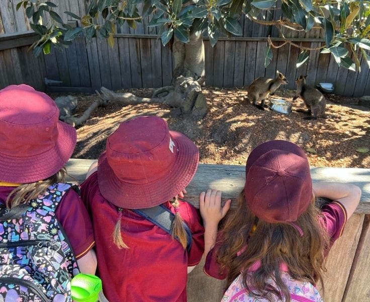 hfps-trips-and-excursions - hfps-trips-and-excursions